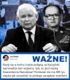 Towarzysze i ...