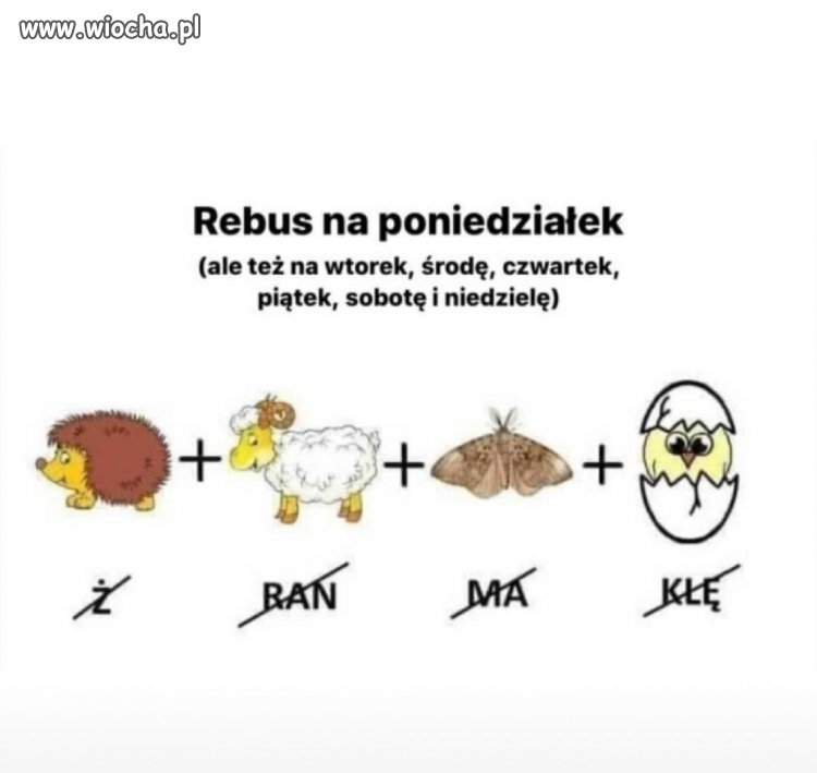 Kto odgadnie