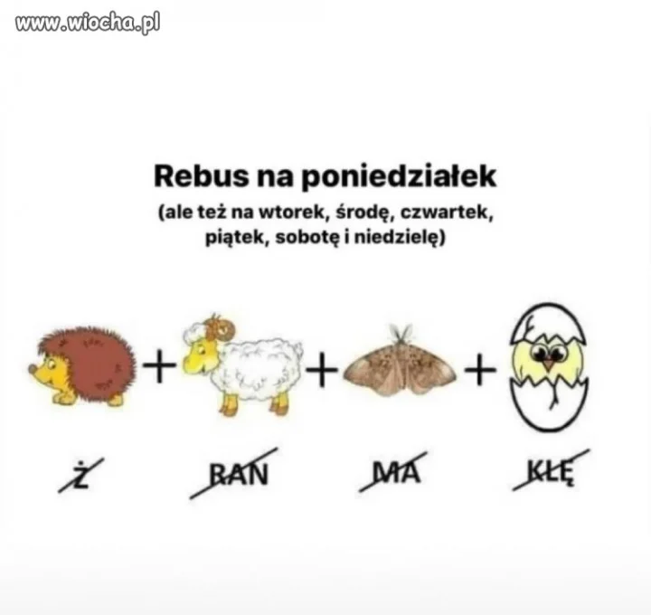 Kto odgadnie