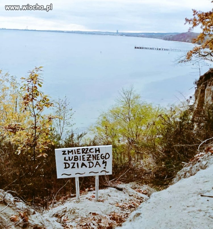 W imieniu sąsiada z plaży pytam,