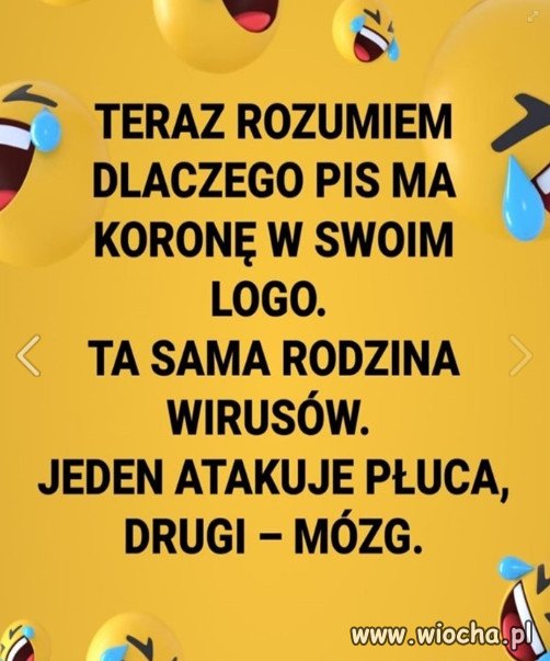 Rodzina korono wirusów...