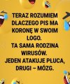 Rodzina korono wirusów...