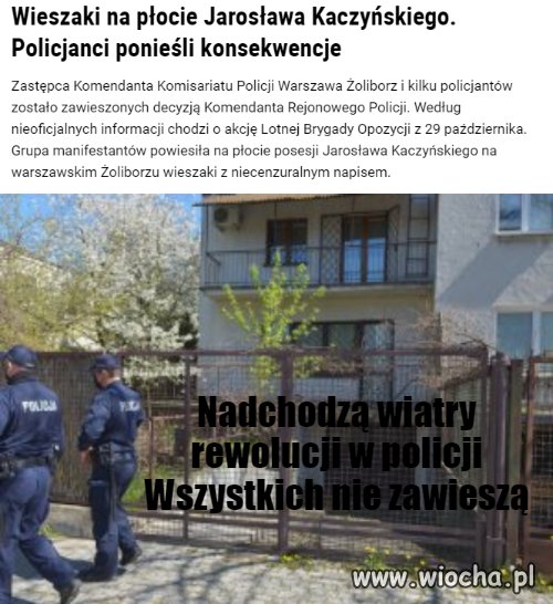 Powolna rewolucja w policji 