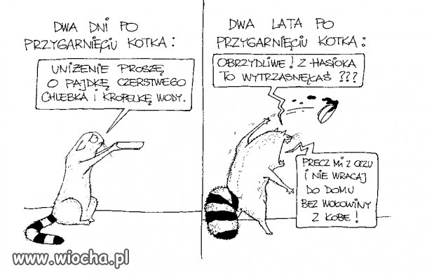 Sierściuchy takie są ale nie tylko one