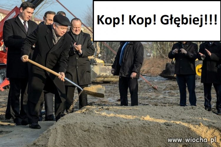 Żeby kot czegoś nie wygrzebał...
