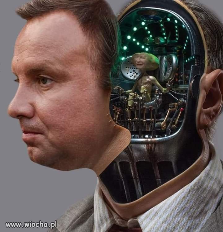 Tak to wygląda 