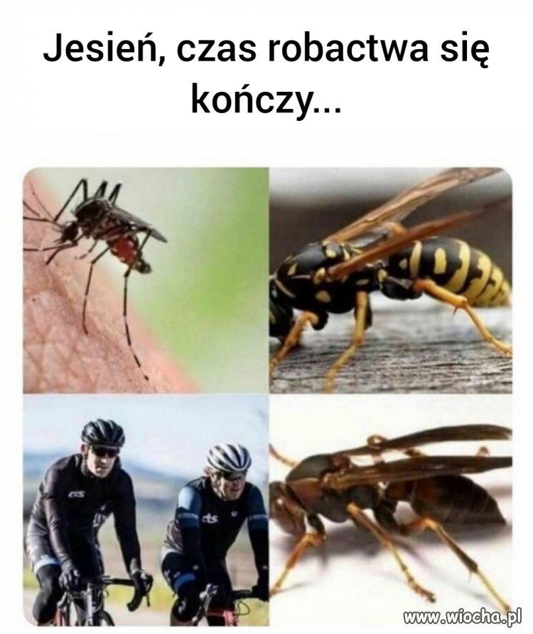 Jesień