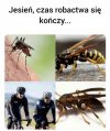 Jesień