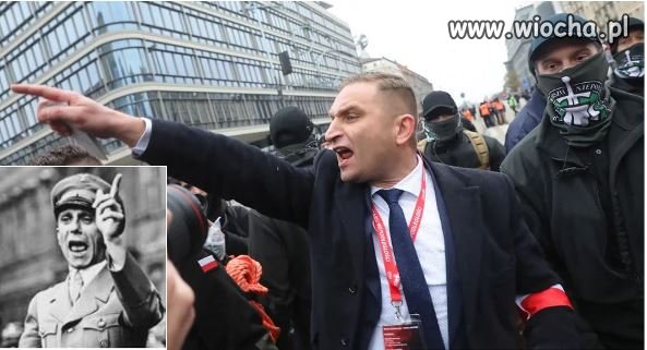 Die Schutzstaffel der PiS