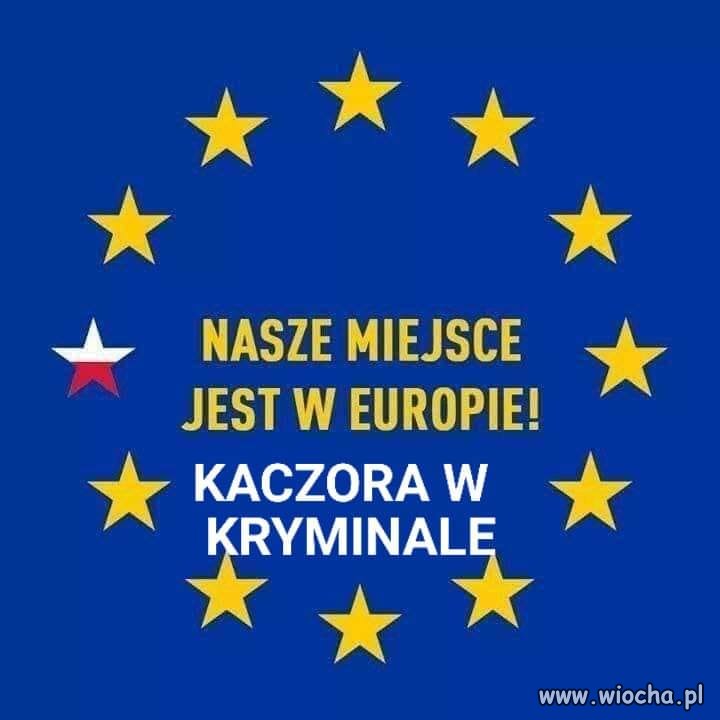 Dokładnie tak.