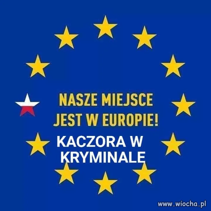 Dokładnie tak.