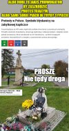 Czyżby prowokacja troglodytów spod znaku falangi ?