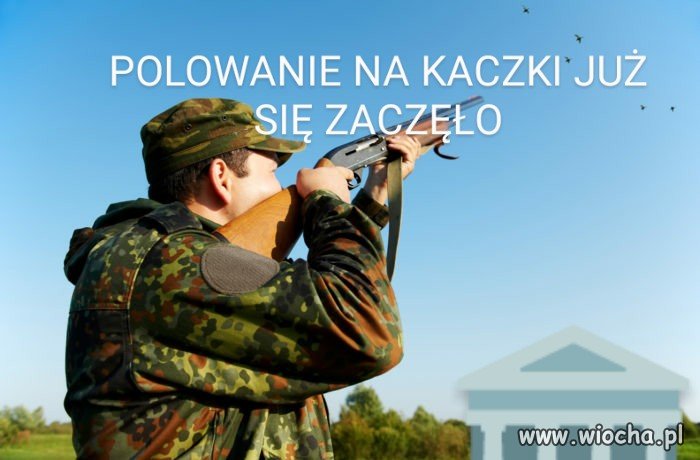 Polowanie