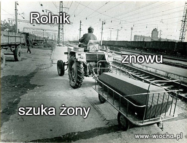 W mieście mają usługi