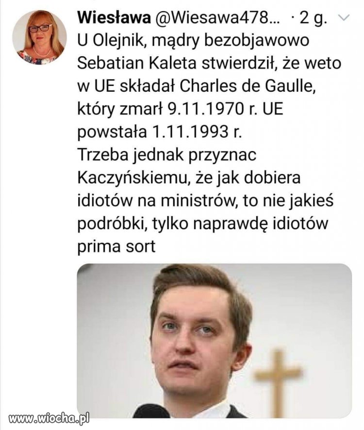 Kolejny ,,ekspert ".