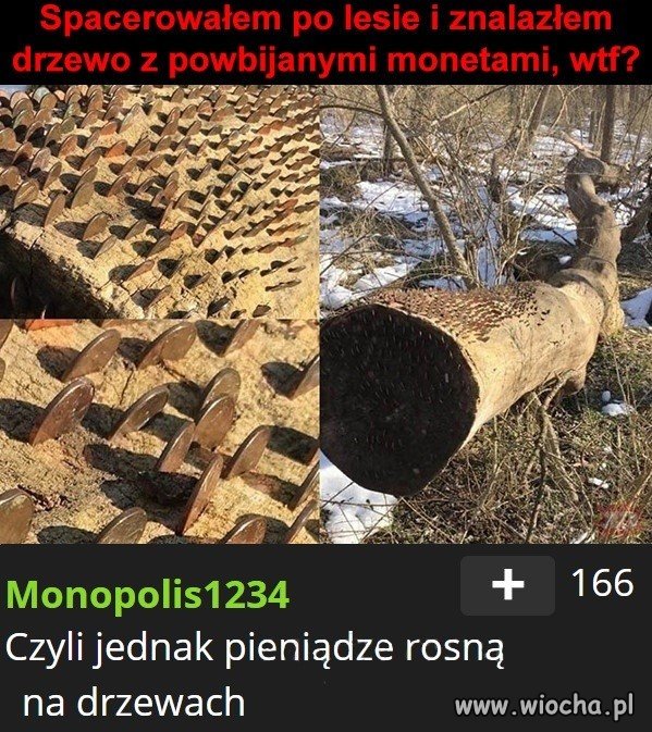 Z cyklu ~czy wiesz, że...~