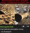 Z cyklu ~czy wiesz, że...~