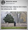 Bez tytułu. 