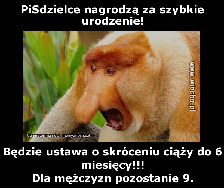 PiSdzielce nagrodzą za szybkie urodzenie!
