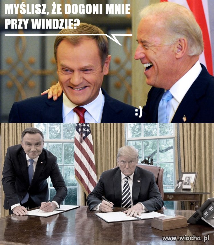 Tytuł zbędny 