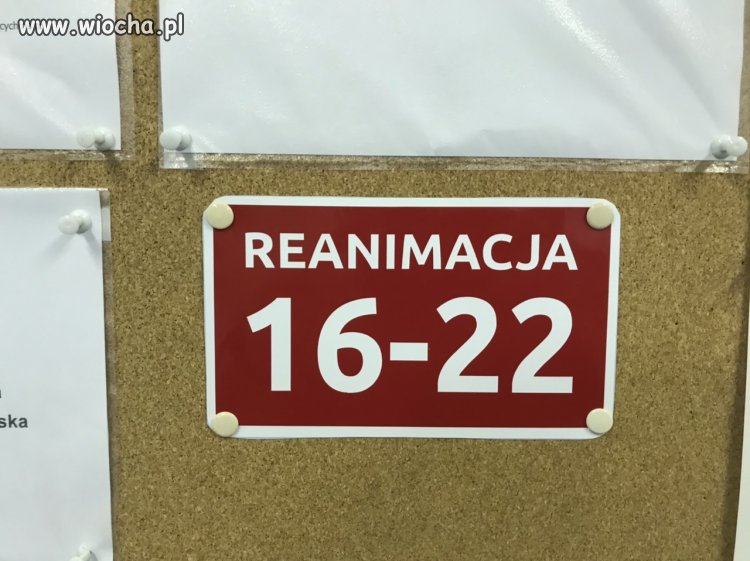 Taka ciekawostka