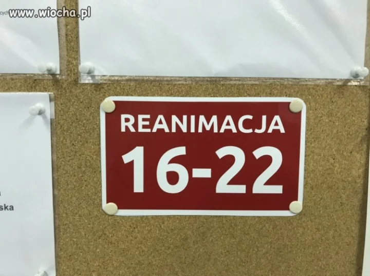 Taka ciekawostka