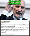 Zielony ludzik 