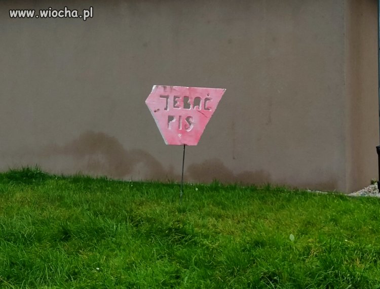 *** *** Złotoryja