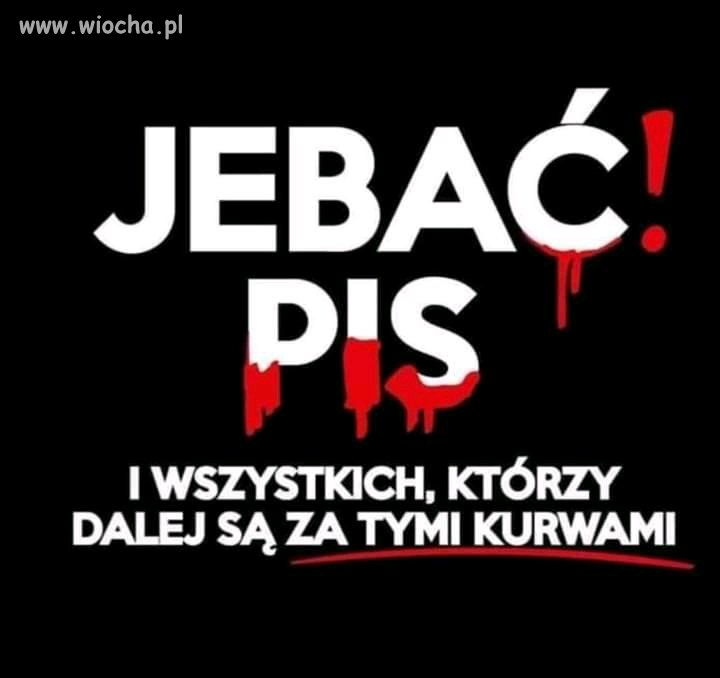 Krótko i na temat