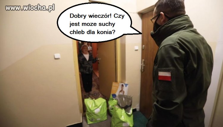 Kolednik