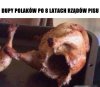 Po ośmiu 