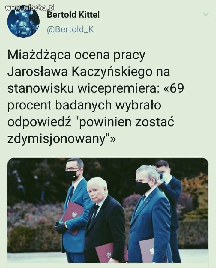 Badania, oceny, sondaże