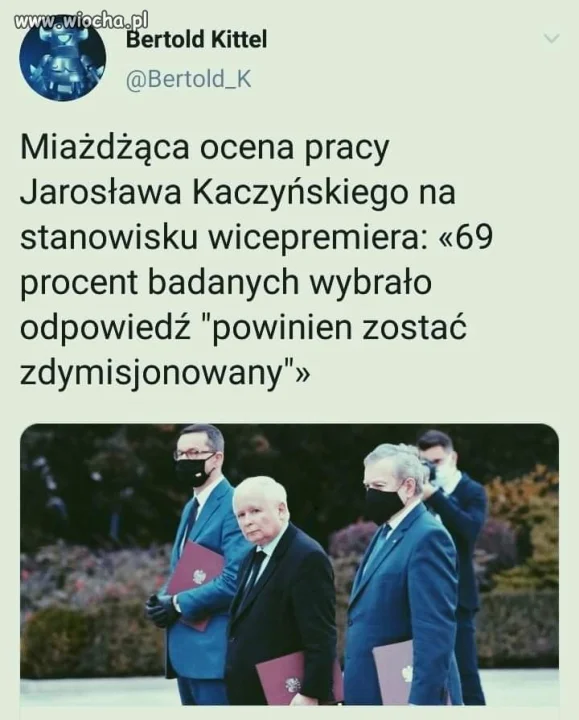 Badania, oceny, sondaże