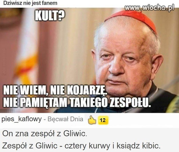 Fan czy kibic?