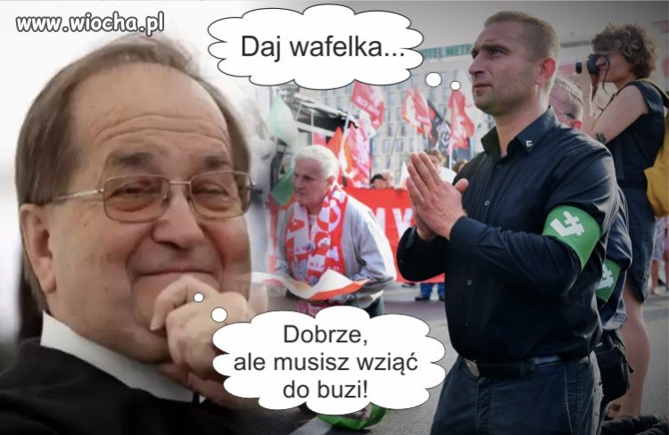 Wafelek