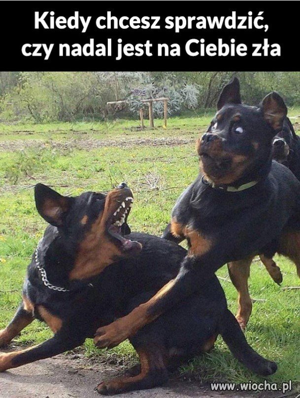 A jednak jej nie przeszło 