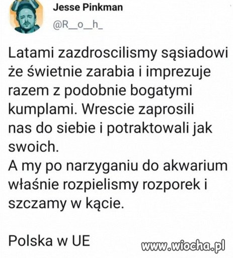 To Polska PiSu w Unii Europejskiej...