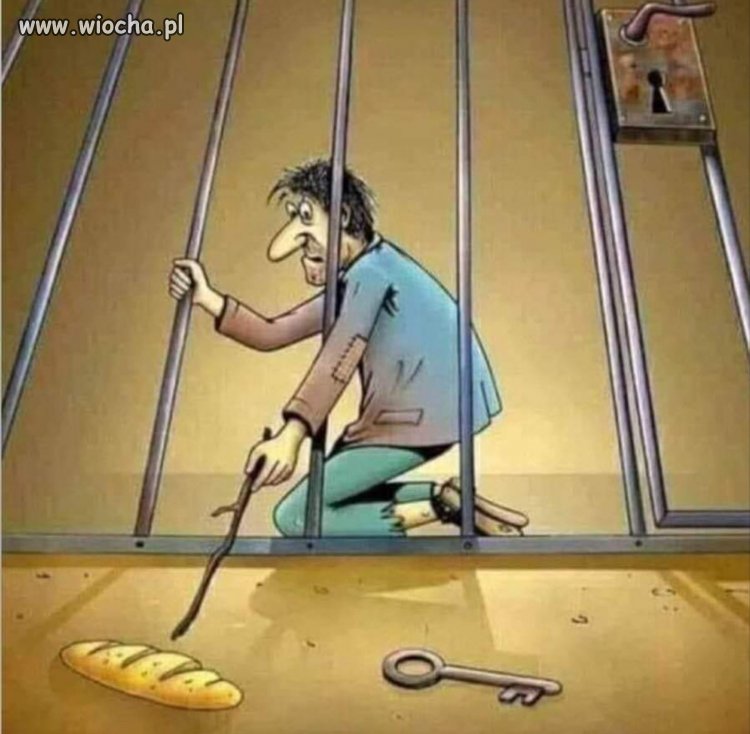 Wyborca pis?