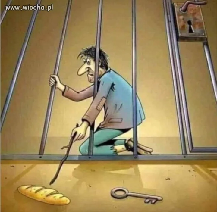 Wyborca pis?