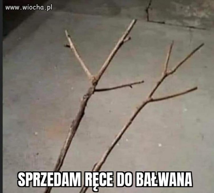 Prawdziwa okazja 