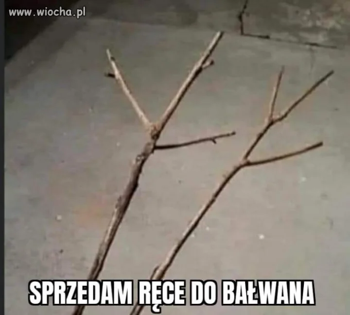 Prawdziwa okazja 