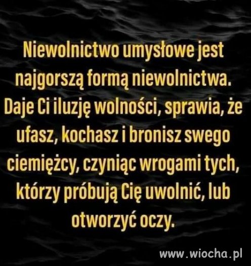 Fakt.