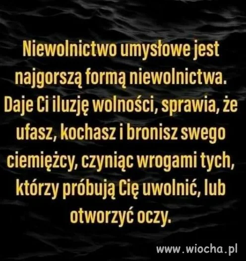 Fakt.