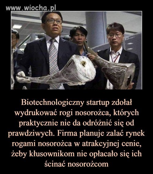 Brawo! 