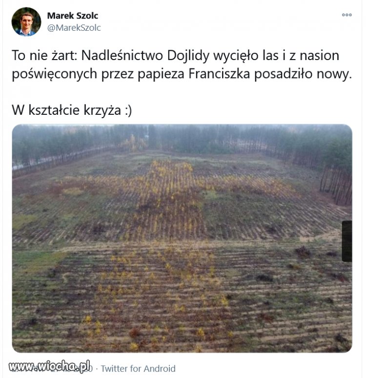 Ja p...dolę. W jakim kraju my żyjemy. 