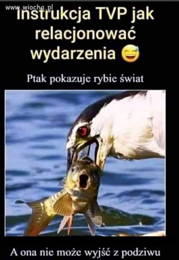 Dla zdrowo myślących
