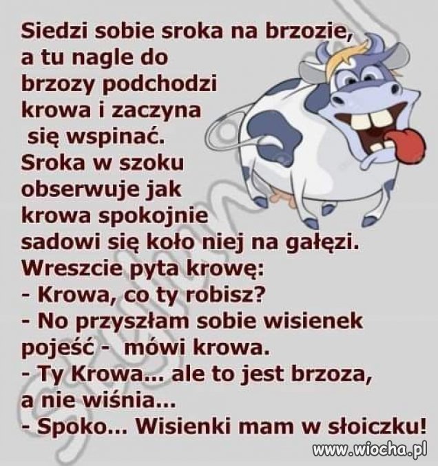 Zabawne...