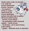 Zabawne...