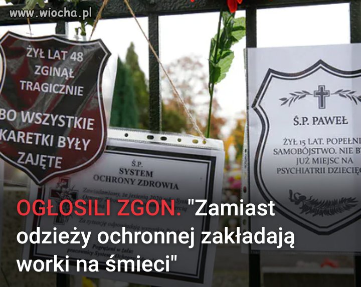 Już wiadomo co z chryzantemami zrobi rząd 