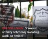 Już wiadomo co z chryzantemami zrobi rząd 